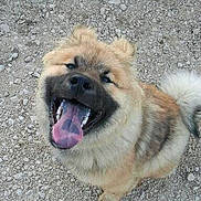 Loo participe au concours pour gagner de l'argent avec cette photo :