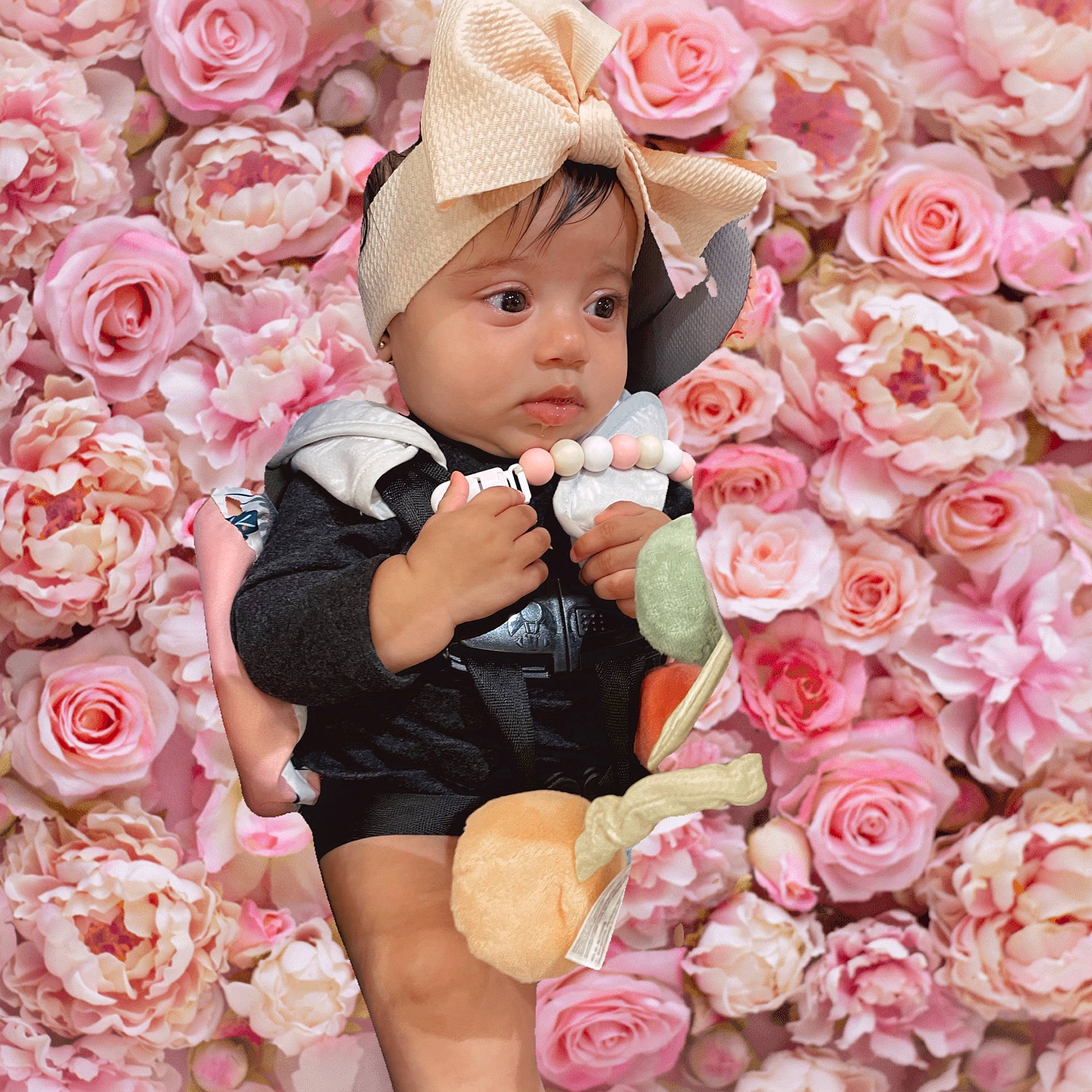 Katalina A joined the competition — help win amazing prizes! baby, baby_toddler_clothing, beauty, child, cut_flowers, flower, flower_arranging, garden_roses, happy, headwear, hybrid_tea_rose, peach, person, petal, photograph, pink, plant, rose, rose_family, rose_order