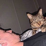 Simba participe au concours pour gagner de l'argent avec cette photo : animal, bed, blanket, cat, comfort, cozy, domestic_animal, face, fur, hand, human, indoor, night, person, pet, relaxation, rest, sleeping, tabby_cat, touch