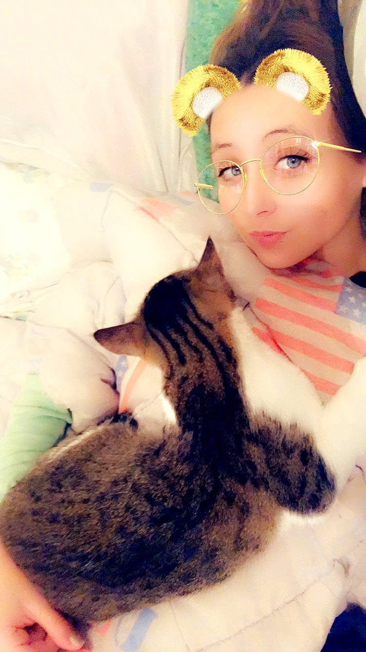 Cookie participe au concours pour gagner de l'argent avec cette photo : american_curl, beauty, black_hair, carnivore, cat, cheek, ear, eye, eyebrow, felidae, fur, hair, long_hair, nose, photography, selfie, skin, small_to_medium_sized_cats, whiskers