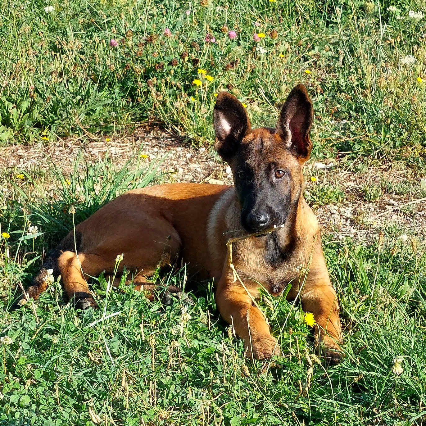 Usher