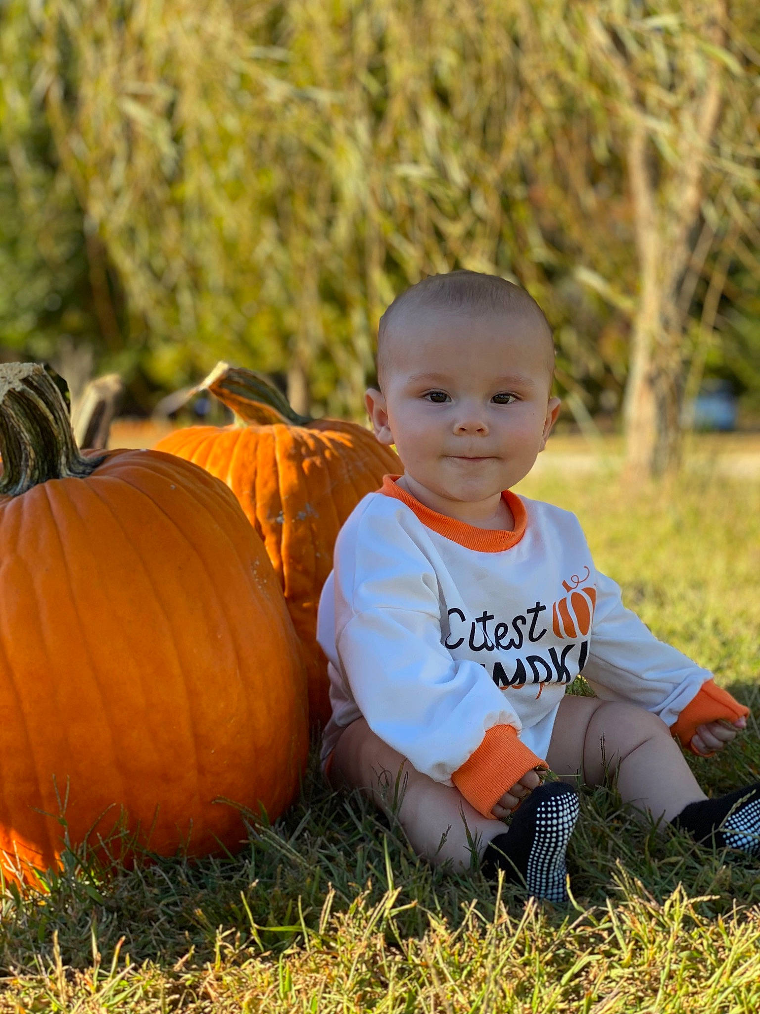 Gatlin joined the competition — help win amazing prizes! baby, baby_toddler_clothing, calabaza, child, cucurbita, gourd, grass, happy, leaf, people_in_nature, person, plant, pumpkin, sitting, smile, squash, toddler, tree, vegetable, winter_squash