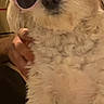 dog, white_dog, sunglasses, pink_sunglasses, pet, fluffy, cute, indoor, person, hand, fur, canine, animal, portrait, closeup, fashion, accessory, funny, companion, domestic