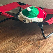 Mochi is registered to the contest to win money with this photo: dog, pet, holiday_clothing, green_hat, red_bed, wooden_floor, indoor, resting, sleepy, fur, cute, cozy, small_dog, furniture, textured_wall, canine, domestic_animal, relaxing, wearing_clothes, animal