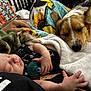 baby, pacifier, sleeping, dog, blanket, hand, fur, resting, comfort, indoor, closeup, cuddle, pet, infant, relaxation, soft, face, peaceful, friendship, cozy