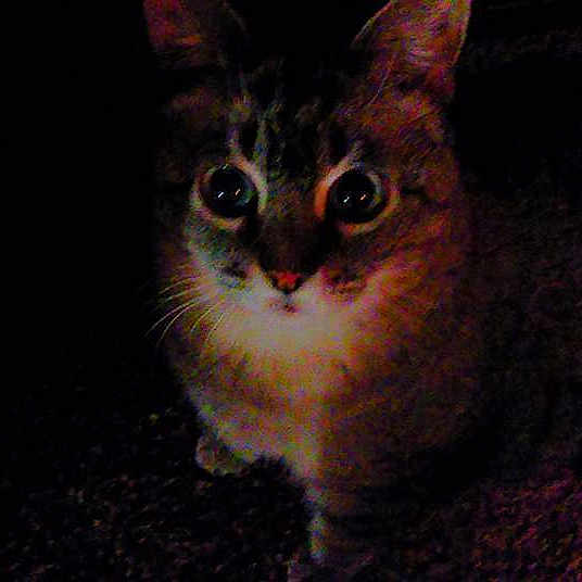 Bonerack joined the competition — help win amazing prizes!