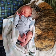 Raylan joined the competition — help win amazing prizes! baby, newborn, sleeping, blanket, cat, tabby_cat, pet, bed, pillow, cushion, striped, cozy, comfort, indoor, person, infant, rest, soft, cute, animal
