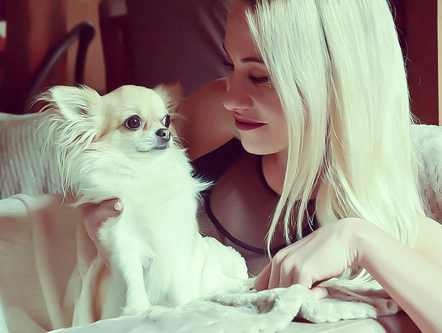 Luna a rejoint le concours — aidez-le/la à gagner de superbes lots ! bangs, blond, carnivore, child, comfort, companion_dog, dog, dog_breed, dog_supply, ear, eyelash, fawn, fur, gesture, hair, happy, iris, skin, toy_dog, working_animal