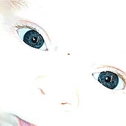 Télio participe au concours pour gagner de l'argent avec cette photo : baby, face, closeup, blue_eyes, skin, mouth, nose, eyelashes, eyebrows, infant, child, portrait, overexposed, light, expression, cute, soft, young, person, human