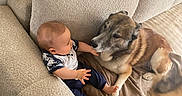 Pablo a rejoint le concours — aidez-le/la à gagner de superbes lots ! animal, baby, beige, bond, child, comfort, companion, couch, cozy, curious, cute, dog, friendly, furniture, home, indoor, infant, interaction, pet, sitting