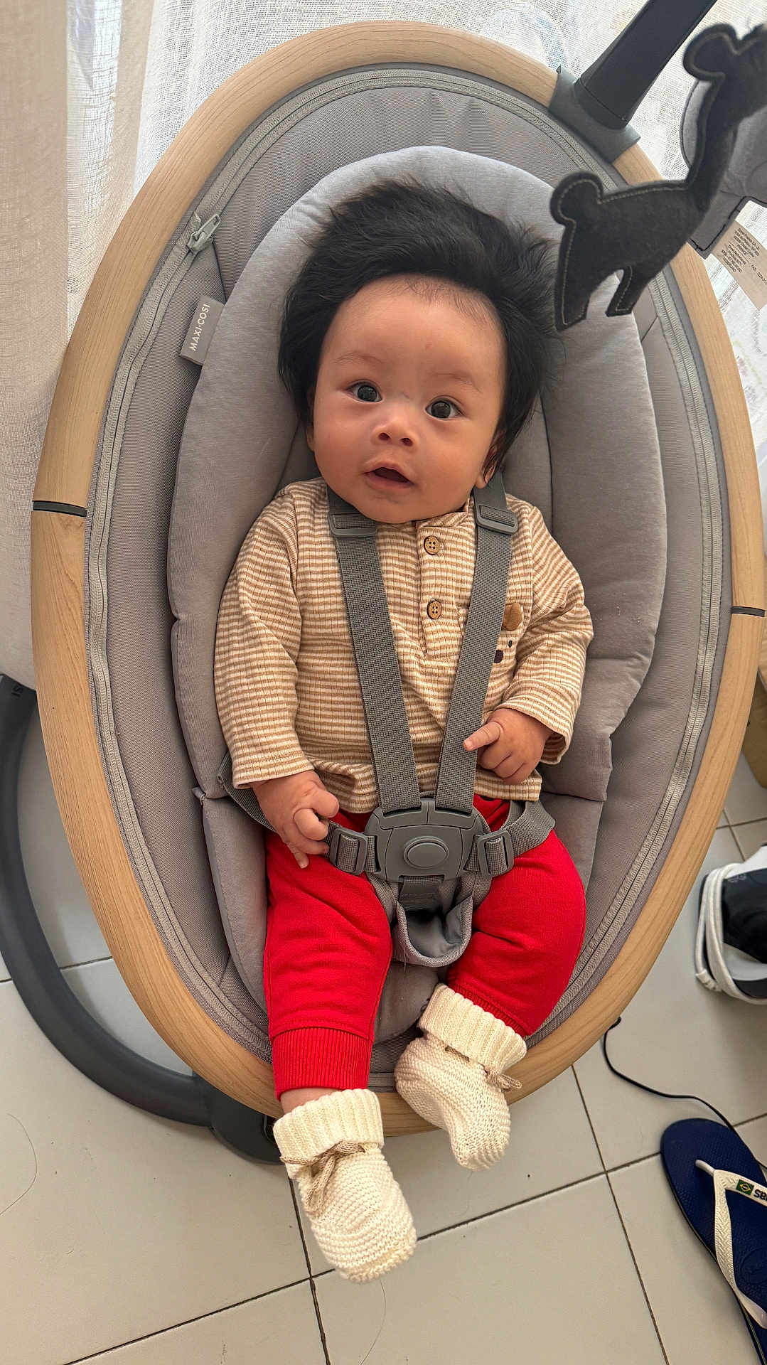 Daniel Khoa a rejoint le concours — aidez-le/la à gagner de superbes lots ! baby, infant, child, rocker, seat, straps, red_pants, knit_booties, plush_toy, curious_expression, indoor, floor_tiles, footwear, modern_baby_gear, safety_harness, person, cute, portrait, cozy, casual_clothing