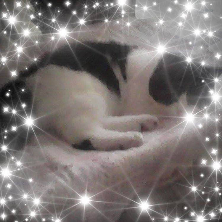 Kirim Et Prunelle participe au concours pour gagner de l'argent avec cette photo : art, astronomical_object, atmosphere, atmospheric_phenomenon, darkness, event, font, illustration, lens_flare, light, midnight, monochrome, monochrome_photography, organism, pattern, rectangle, sky, space, star, white