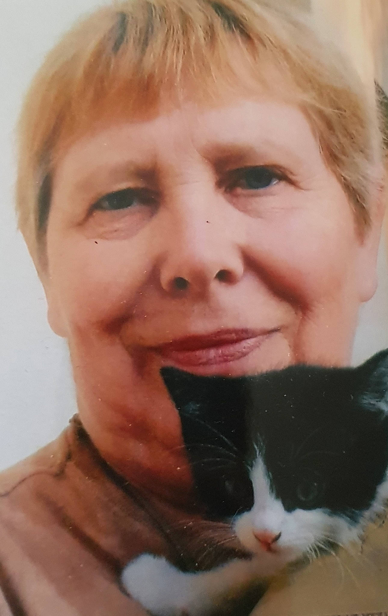 Kirim Et Prunelle a rejoint le concours — aidez-le/la à gagner de superbes lots ! cat, cheek, chin, ear, eye, eyebrow, eyelash, facial_expression, felidae, hair, head, human, human_body, lip, mouth, neck, nose, organ, skin, smile