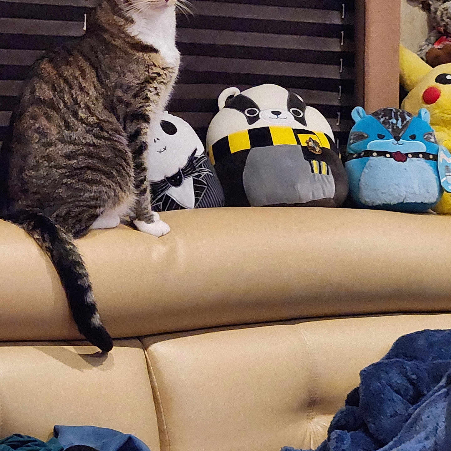 Simba