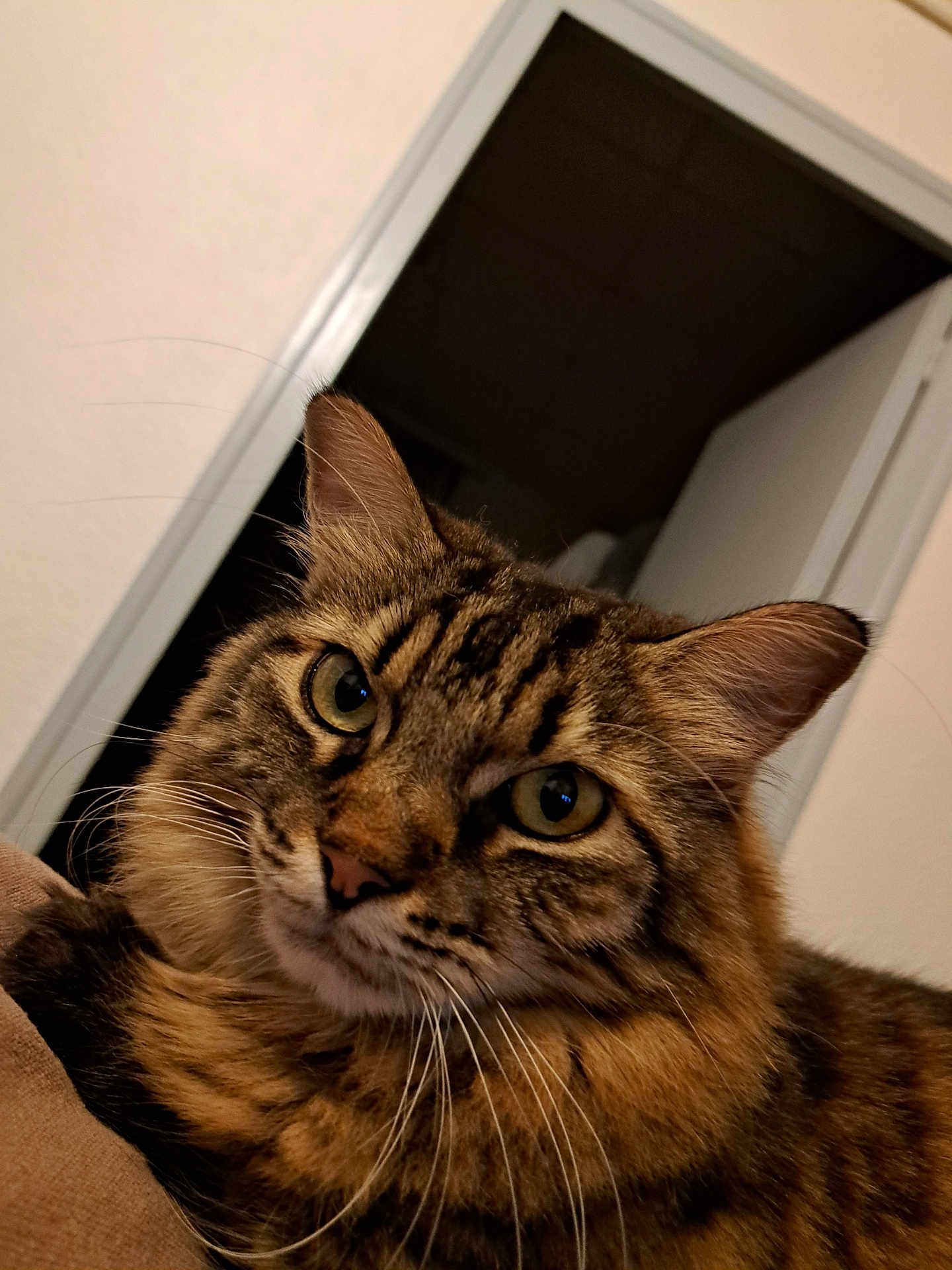 Nina