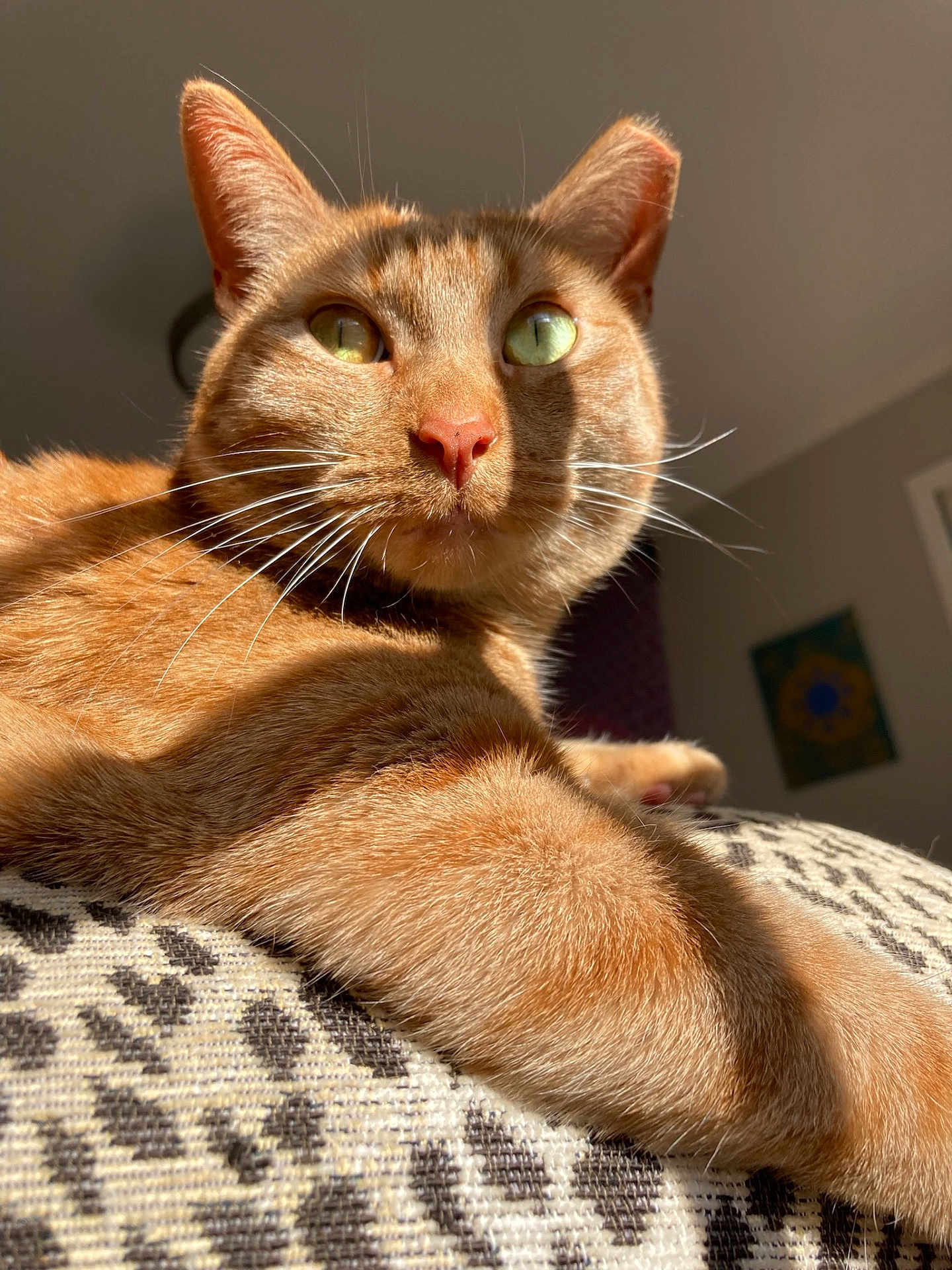 Ruby