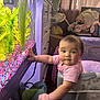 baby, child, fish_tank, plants, indoor, curtains, furniture, cabinet, playpen, pink_shirt, colorful_gravel, hand, face, expression, room, light, curious, portrait, home, decor