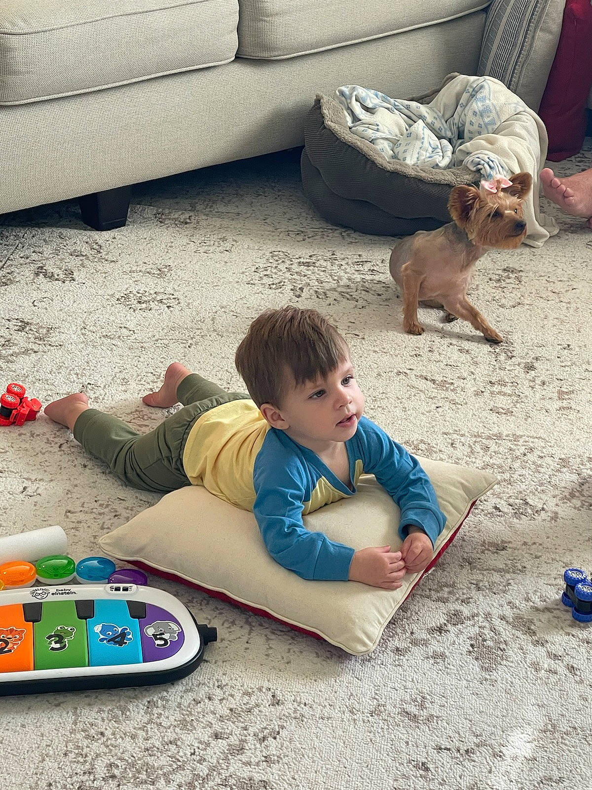 Julian joined the competition — help win amazing prizes! child, comfort, companion_dog, couch, flooring, fun, lap, leisure, mammal, person, photograph, play, recreation, shoe, sitting, snapshot, sneakers, toddler, toy, vacation