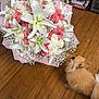 Winter is registered to the contest to win money with this photo: baby_breath, bouquet, bouquet_wrapping, closeup, curious, decor, dog, floral_arrangement, flowers, gift, indoor, lilies, pet, pink, pomeranian, romantic, roses, sniffing, white, wood_floor