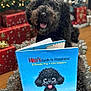 animal, book, celebration, christmas_tree, cute, decorations, dog, festive, floor, fur, happy, holiday, indoor, pet, poodle, portrait, presents, reading, smiling, toy