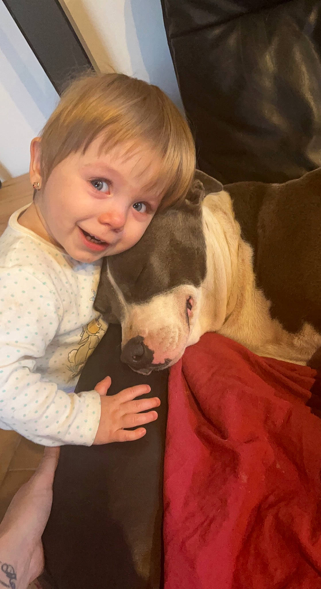 Naomie participe au concours pour gagner de l'argent avec cette photo : baby_toddler_clothing, blond, carnivore, child, comfort, companion_dog, dog_breed, ear, event, fawn, fun, hair, hairstyle, happy, head, iris, joy, lap, person, smile