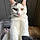 Jasper