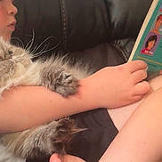 Pearl is registered to the contest to win money with this photo: arm, book, cat, child, closeup, couch, cozy, fur, hand, home, indoor, lap, leisure, pet, portrait, reading, relaxed, sitting, whiskers, young_person