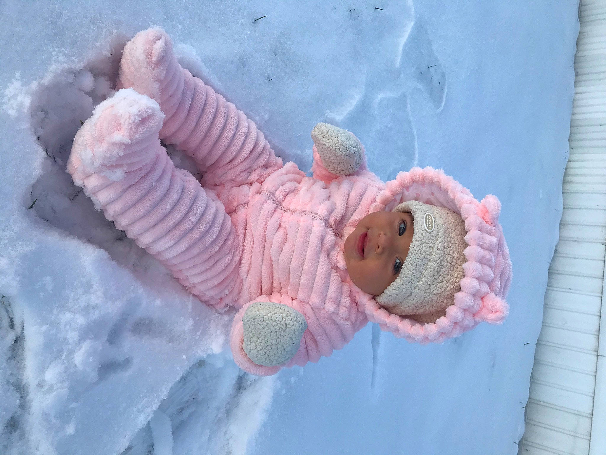 Ariella joined the competition — help win amazing prizes! headwear, organism, person, pink, shell