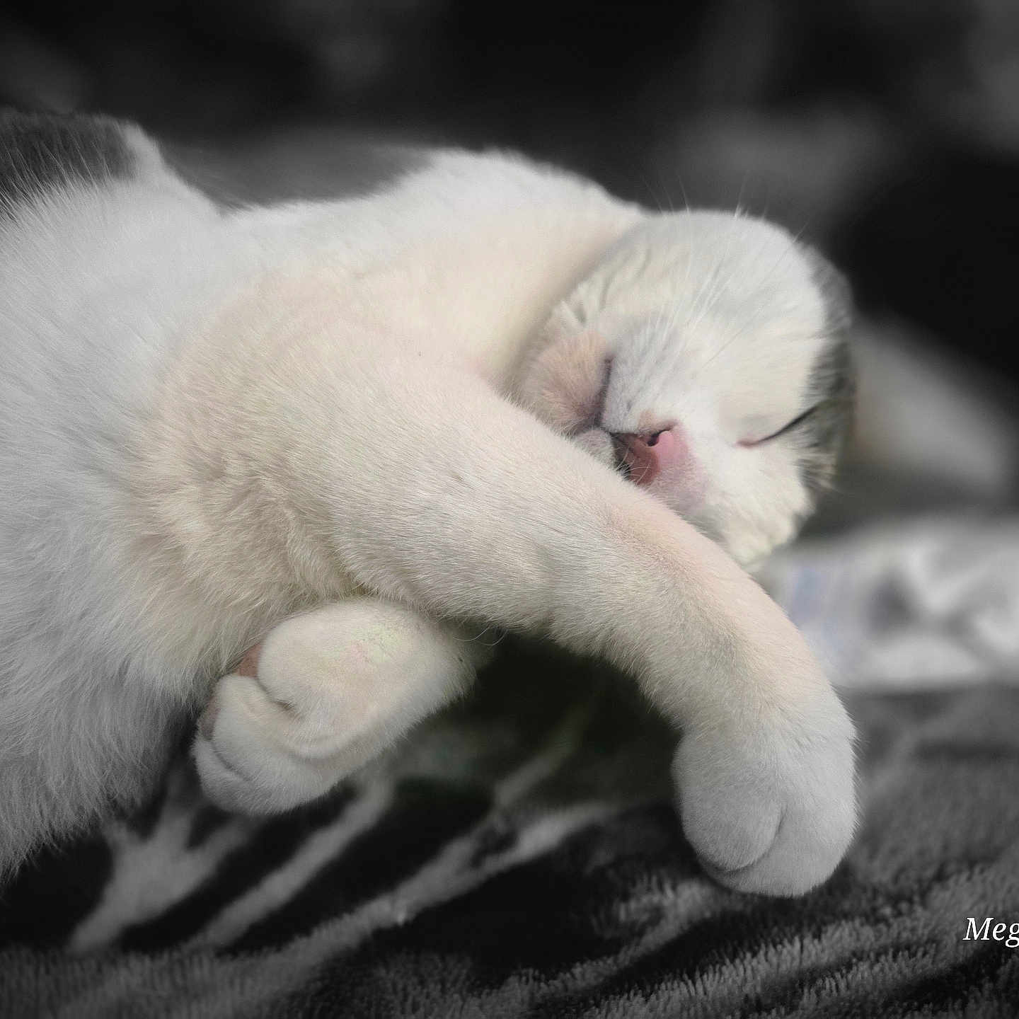 Oliver