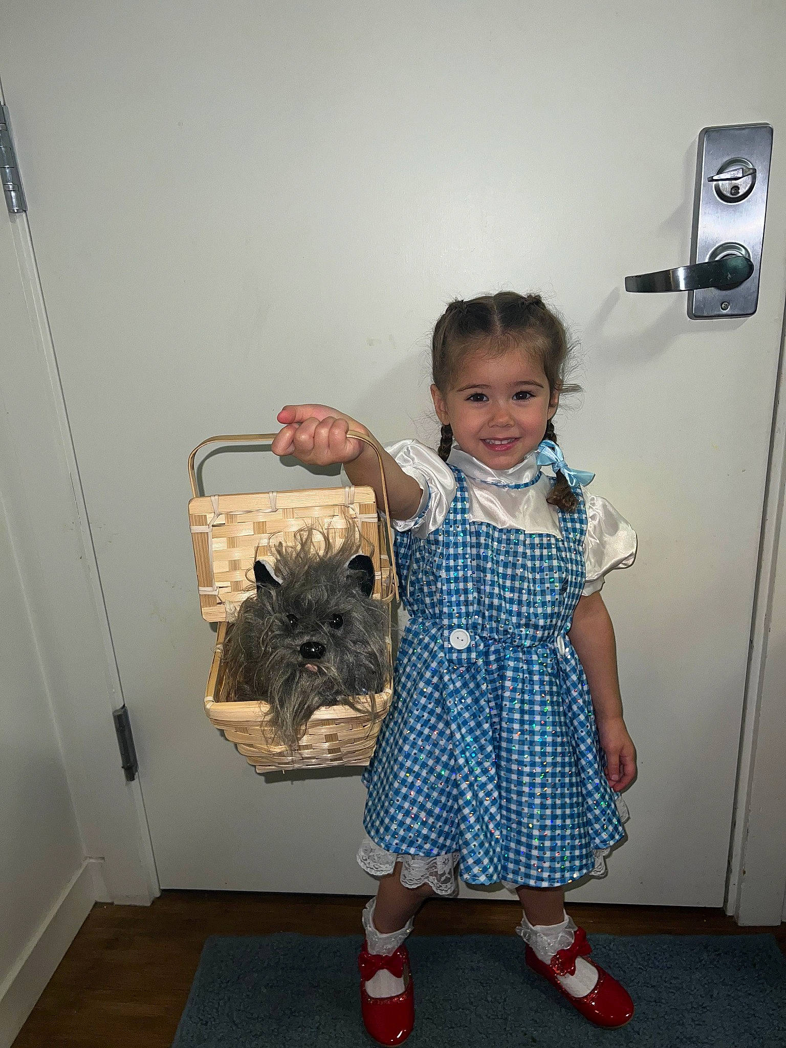 Maia is registered to the contest to win money with this photo: baby_toddler_clothing, bag, child, door, fashion_design, felidae, flooring, fur, joy, pattern, person, play, product, room, sandal, sleeve, smile, textile, toddler, toy