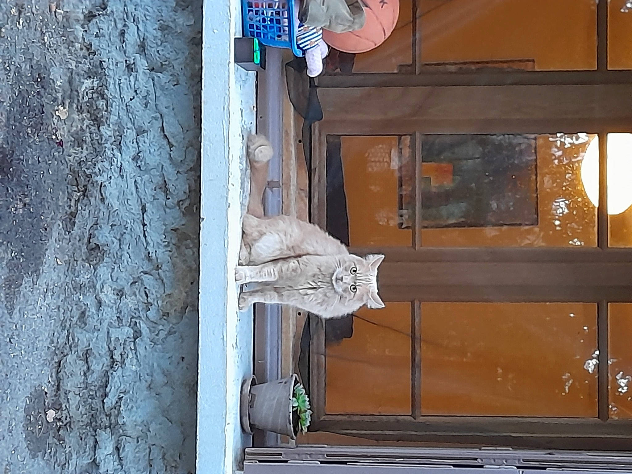 Mimi participe au concours pour gagner de l'argent avec cette photo : art, building, carving, column, composite_material, concrete, door, facade, glass, home_door, metal, rectangle, room, sash_window, sculpture, statue, visual_arts, wall, window, wood