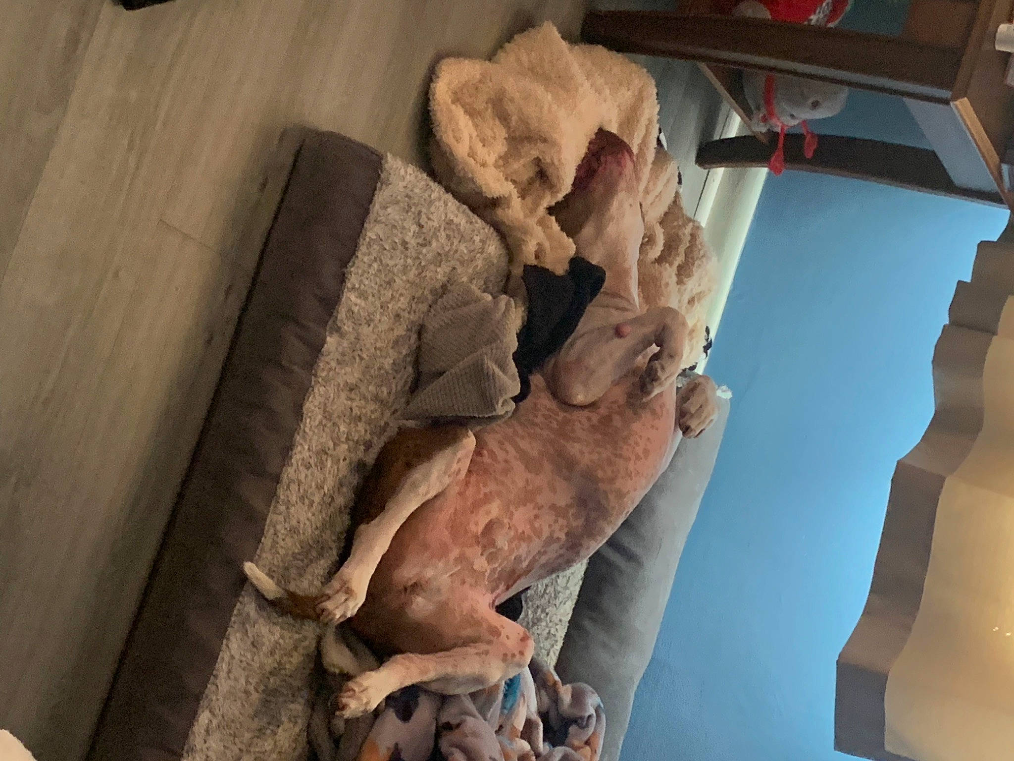 Rolex joined the competition — help win amazing prizes! ancient_history, art, artifact, building, carving, classical_sculpture, history, human_body, jaw, monument, plant, rock, room, sculpture, stairs, statue, tree, visual_arts, wood, world