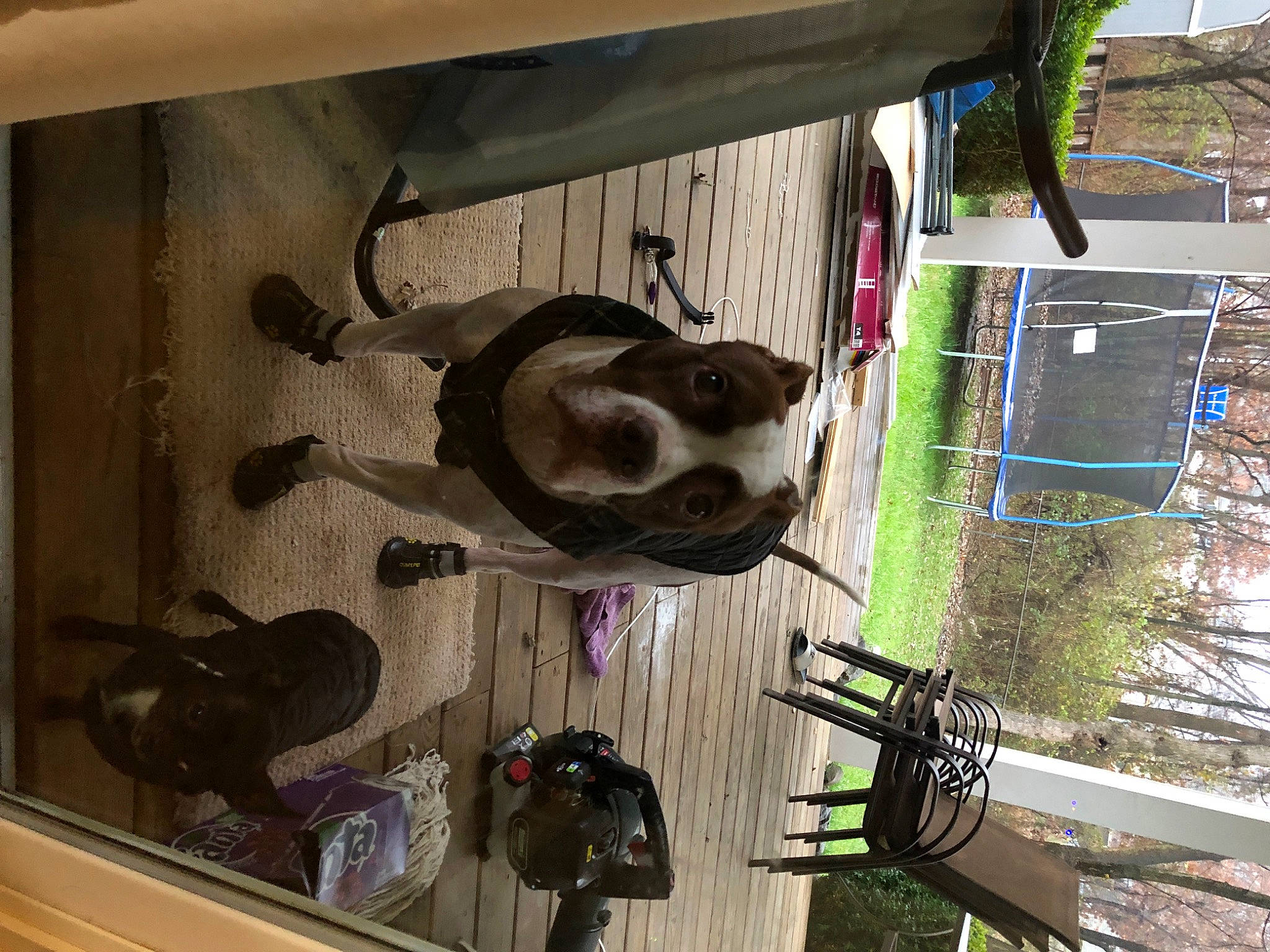 Rolex is registered to the contest to win money with this photo: auto_part, automotive_wheel_system, building, glass, landscape, metal, plant, sky, tire, tree, wheel, window, wood, working_animal