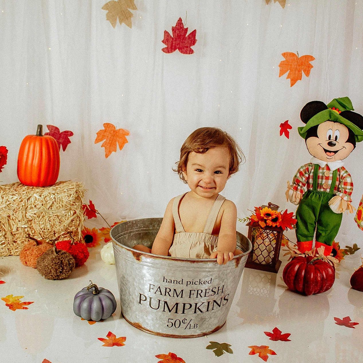 Adrian Arango is registered to the contest to win money with this photo: baby, clothing, costume, doll, elf, face, festival, food, halloween, head, leaf, person, photography, plant, portrait, produce, pumpkin, squash, toy, vegetable