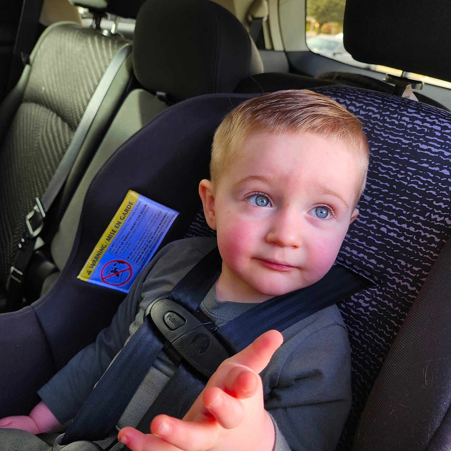 Jameson joined the competition — help win amazing prizes! accessories, baby, belt, bodypart, car, car_interior, carseat, chair, cushion, face, finger, furniture, hand, head, headrest, homedecor, person, text, transportation, vehicle