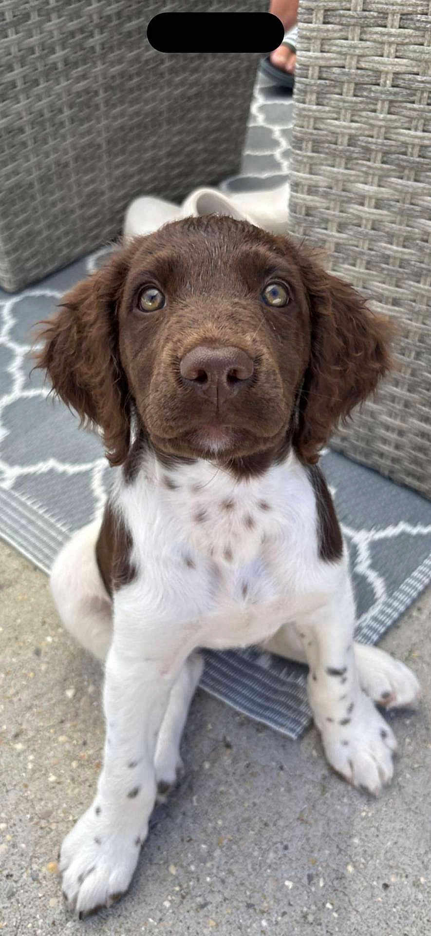 Athena