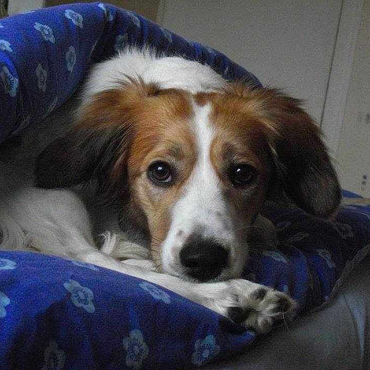 Rita