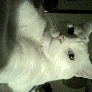 Mizette participe au concours pour gagner de l'argent avec cette photo :