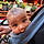 Ansh