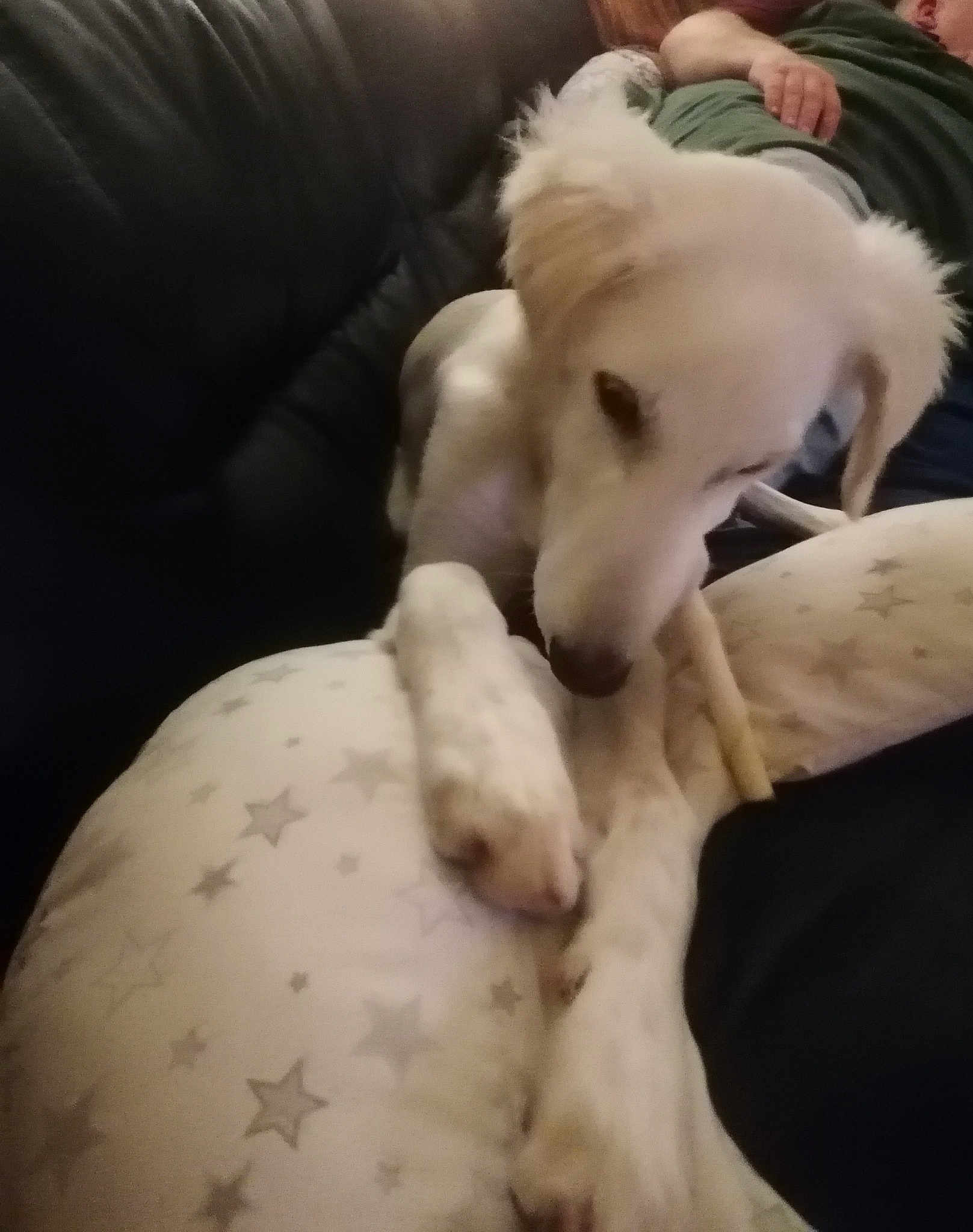Oscar