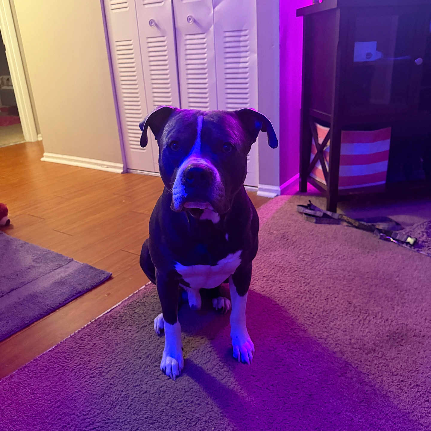 Rambo