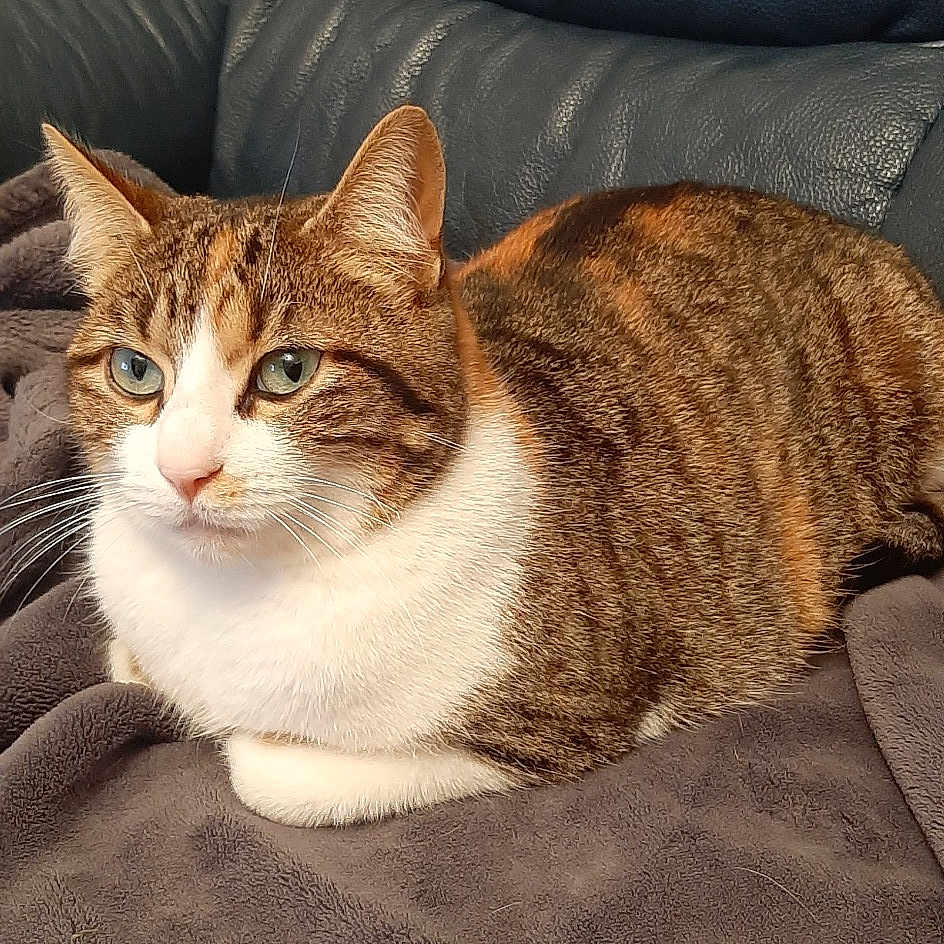 Ruby