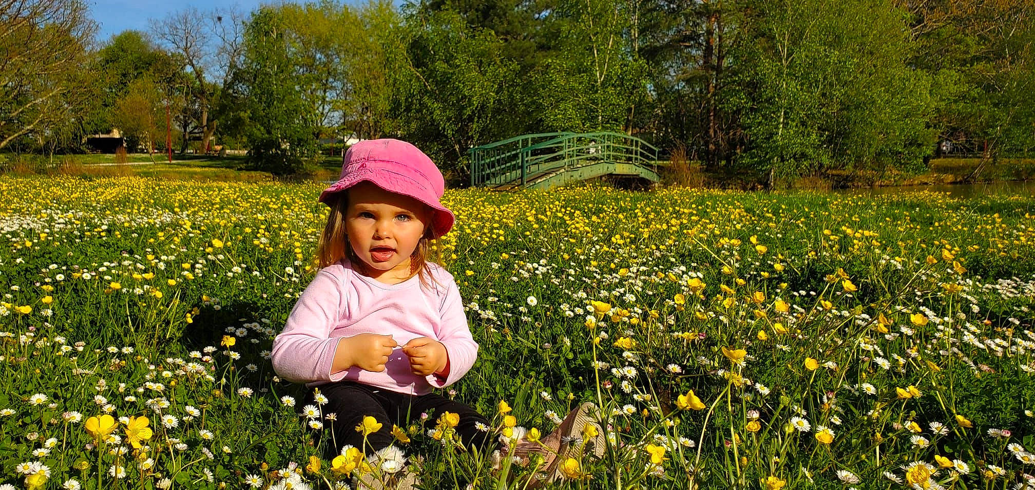 Norah participe au concours pour gagner de l'argent avec cette photo : botany, flower, grass, grass_family, grassland, green, groundcover, happy, headwear, landscape, leaf, leisure, meadow, natural_landscape, nature, people_in_nature, person, petal, plant, toddler