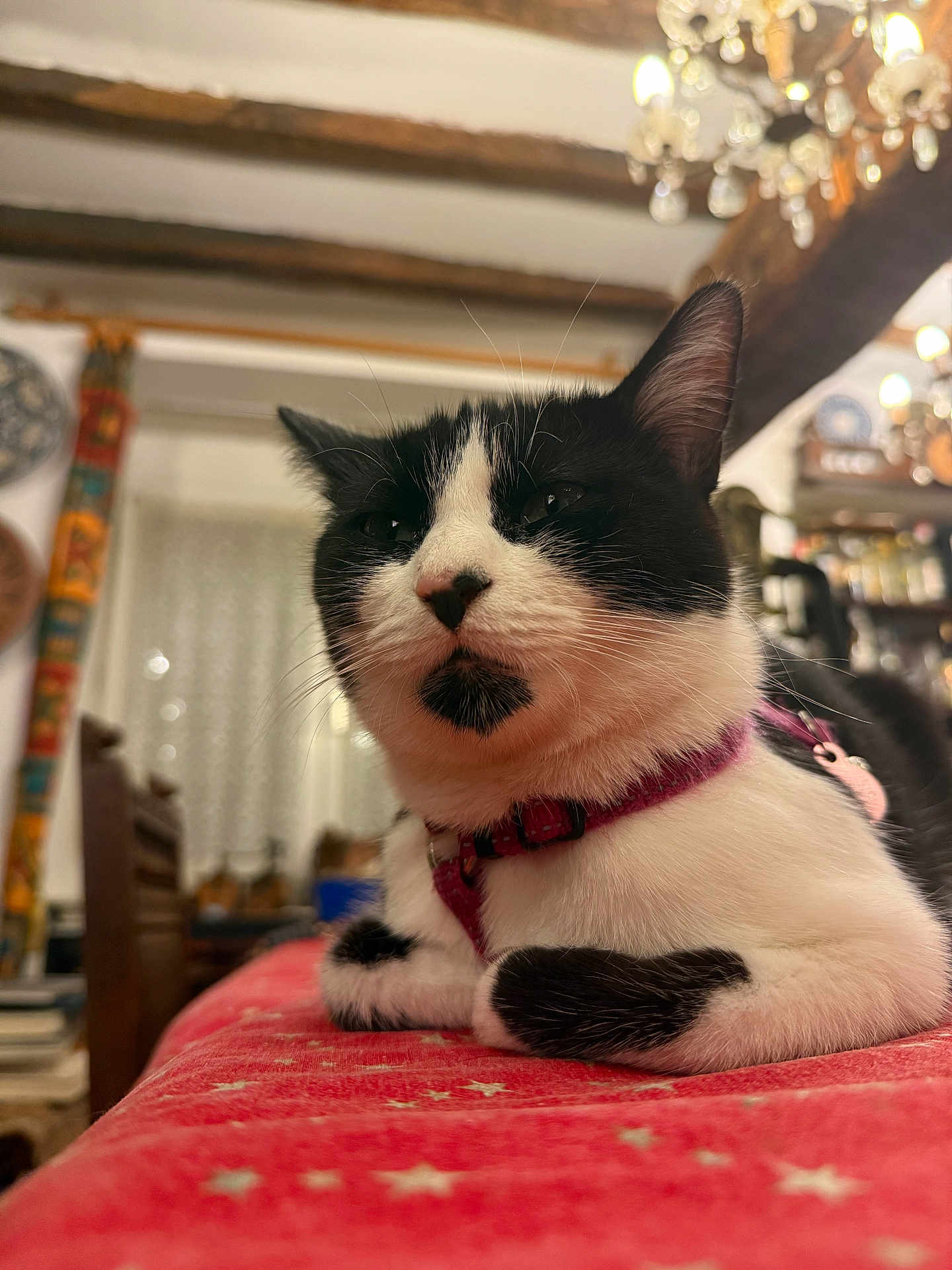 Rocket