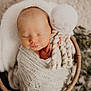 newborn, baby, sleeping, swaddled, blanket, plush_toy, octopus, basket, cozy, knitted, soft, cute, infant, peaceful, portrait, indoors, fuzzy_background, child, wrapped, resting