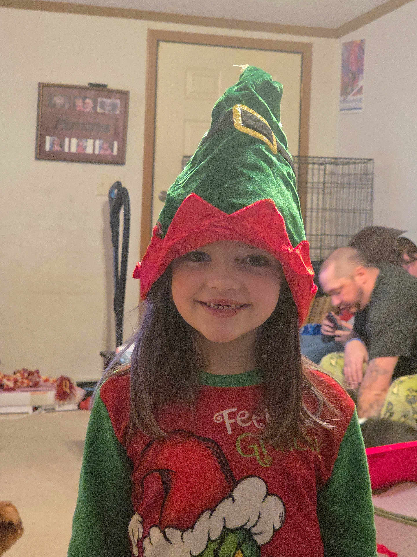 Harley is registered to the contest to win money with this photo: child, smile, elf_hat, holiday_sweater, grinch, indoor, living_room, person, long_hair, childhood, festive, costume, home, door, carpet, adult, dog_cage, casual_clothing, missing_teeth, happy