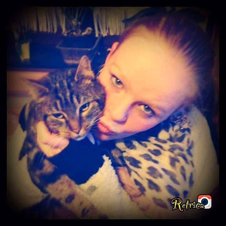 Thia a rejoint le concours — aidez-le/la à gagner de superbes lots ! asian, beauty, carnivore, cat, cheek, cool, ear, egyptian_mau, eye, face, felidae, kitten, mouth, night, nose, photography, small_to_medium_sized_cats, tabby_cat, tattoo, whiskers