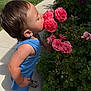Luciano joined the competition — help win amazing prizes! toddler, child, rose, flower, garden, greenery, side_profile, blue_clothing, outdoor, nature, plant, shoes, curious, sunlight, daylight, sidewalk, leaves, pink_flower, young_child, portrait