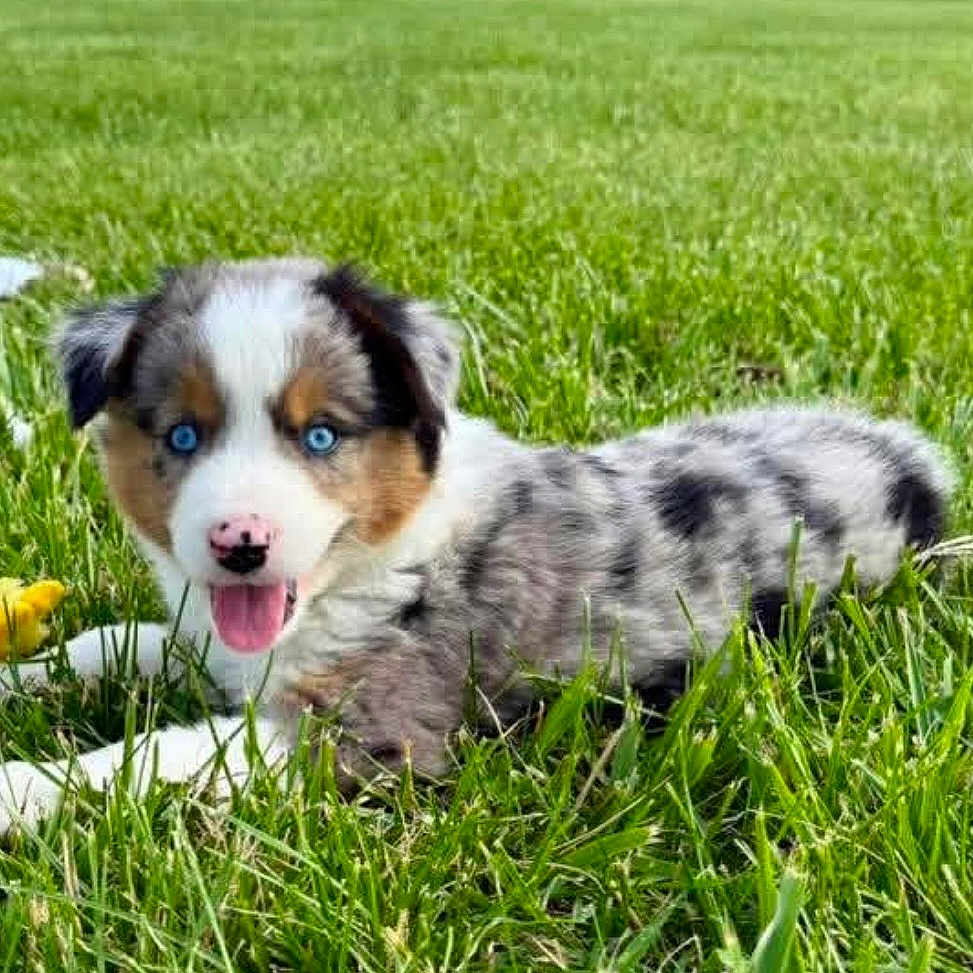 Winnie