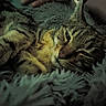 Tigrou a rejoint le concours — aidez-le/la à gagner de superbes lots ! cat, tabby, pet, animal, sleepy, fluffy, blanket, hand, cozy, resting, fur, indoors, cute, comfort, relaxed, feline, domestic_animal, soft, warm, companion